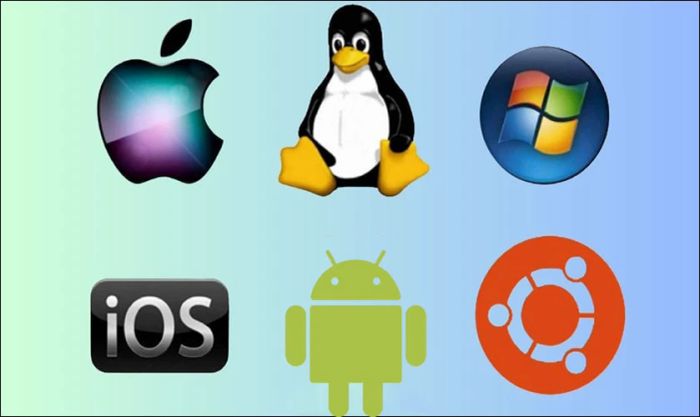 Kiểm tra hệ điều hành