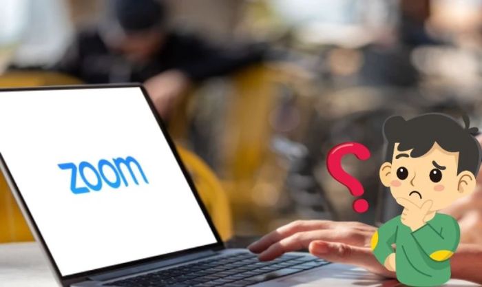 Zoom là gì