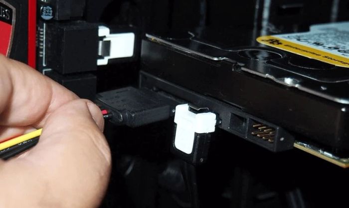 Kết nối dây cáp với ổ cứng mới