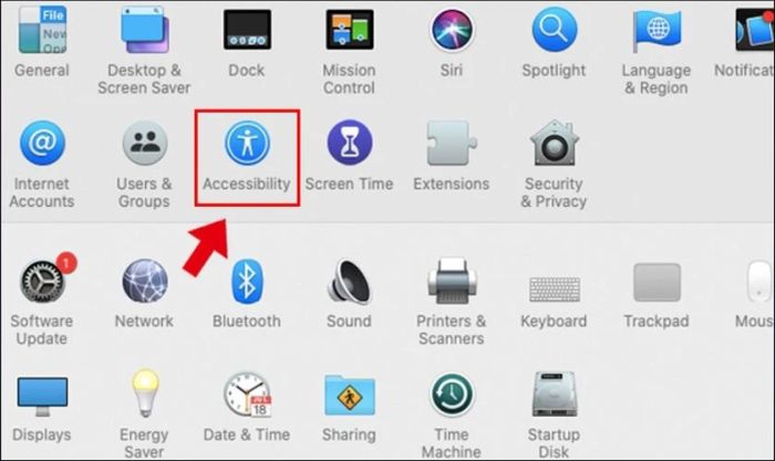 Kích hoạt chế độ thu phóng trong Accessibility