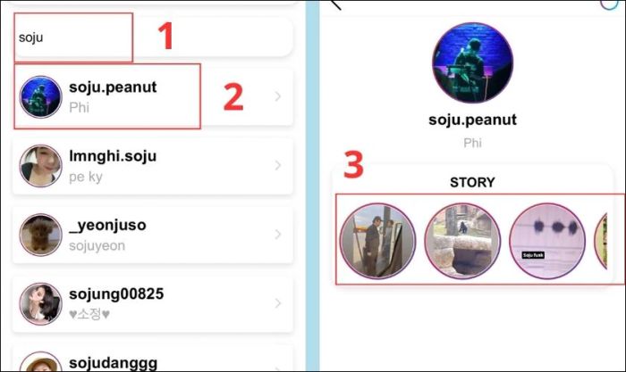 Hiển thị Story của người đã chọn, tải bất kỳ story nào