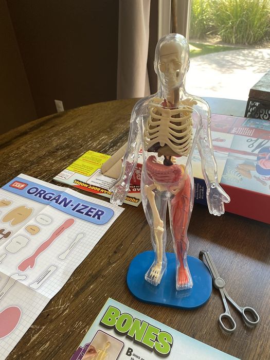A photo from a reviewer showing the assembled body model