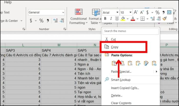 Cách dùng tính năng Paste Picture trên Word để dán ảnh từ Excel