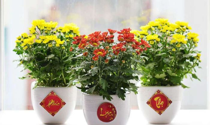 Trang trí Tết truyền thống với hoa tươi