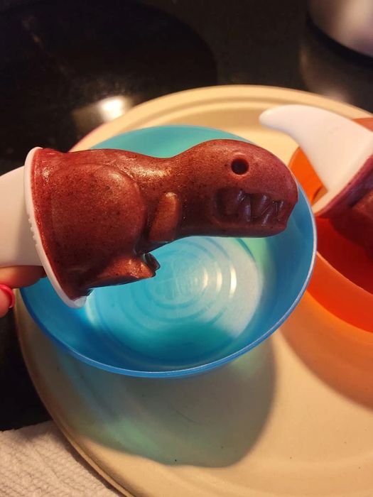 A reviewer shares a photo of a homemade dinosaur popsicle they created