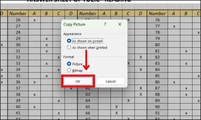 Cách sử dụng hình ảnh trong hộp thoại Copy Picture để chuyển dữ liệu