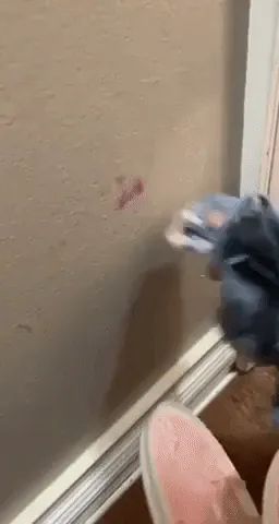 A reviewer cleaning lipstick off the walls using the pink paste