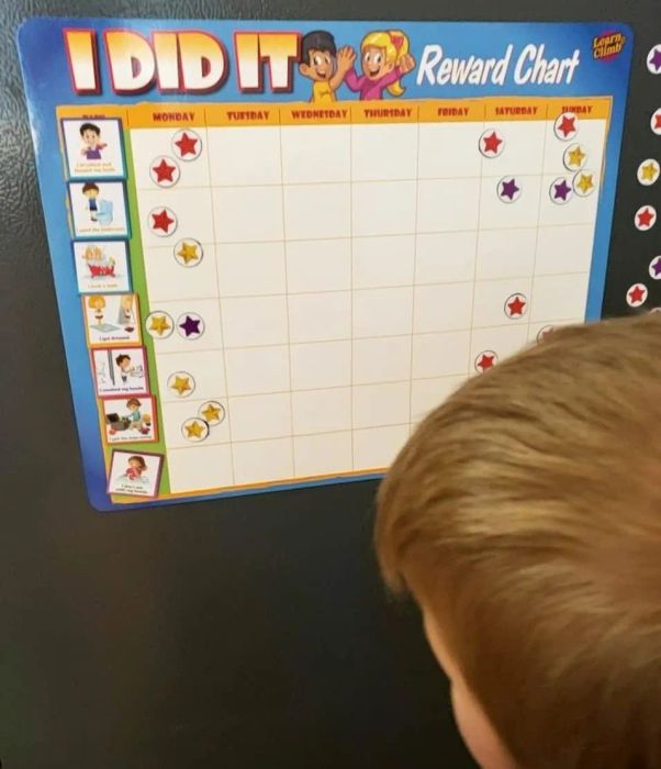 A reviewer shares a photo of their child eagerly checking out the chore chart