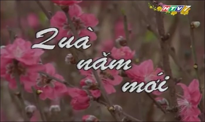 Phim Món quà năm mới 