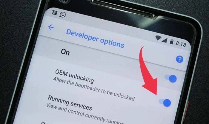 OEM Unlocking (Mở khóa OEM)
