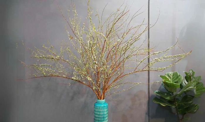 Cắm hoa đẹp và sáng tạo