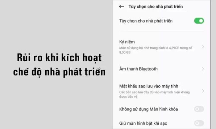 Rủi ro khi kích hoạt tùy chọn nhà phát triển là gì?