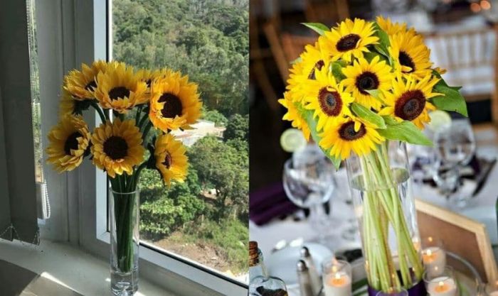 Cách cắm hoa hướng dương ngày Tết với bình cổ cao