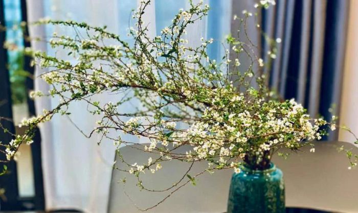 Cách cắm hoa tuyết mai ngày Tết theo dáng thác đổ