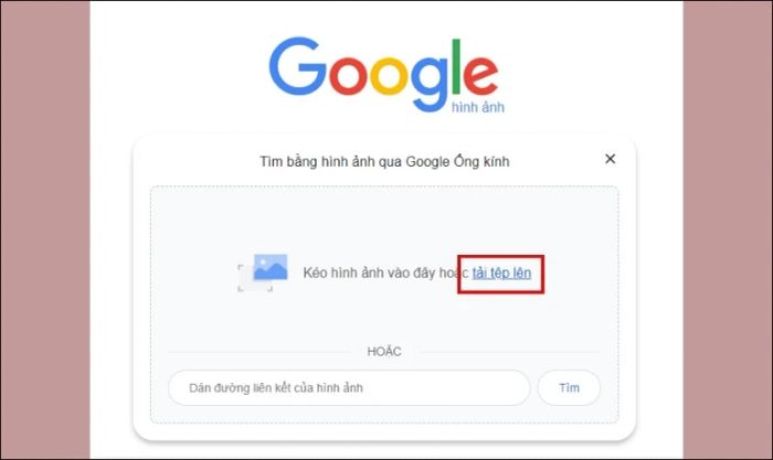 tìm tài khoản Facebook qua hình ảnh trên Google