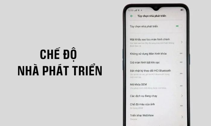 Chế độ nhà phát triển OPPO là gì và nó có những tính năng nào?