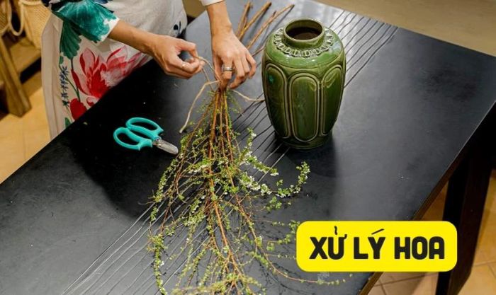 Cắt tỉa hoa tuyết mai đúng kỹ thuật