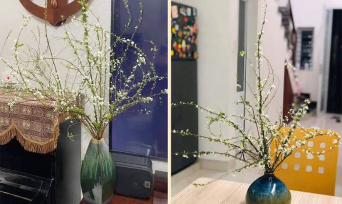 Cách cắm hoa tuyết mai ngày Tết theo dáng vạn tuế