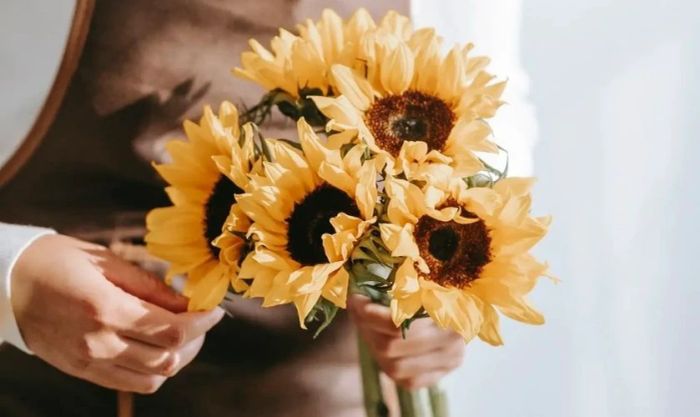 Mẹo chọn hoa hướng dương cắm ngày Tết