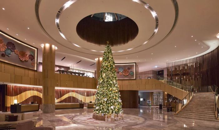 Ảnh cây thông Noel ngoài trời