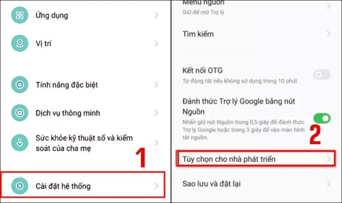 Chọn Cài đặt hệ thống, rồi tiếp tục vào Tùy chọn nhà phát triển