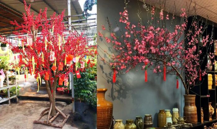 Lựa chọn phong cách phù hợp với nội thất