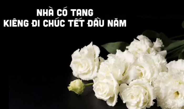 Nhà có tang nên kiêng gì trong dịp Tết? Một trong những điều kiêng kỵ là không đi chúc Tết trong những ngày đầu năm khi gia đình có tang sự.