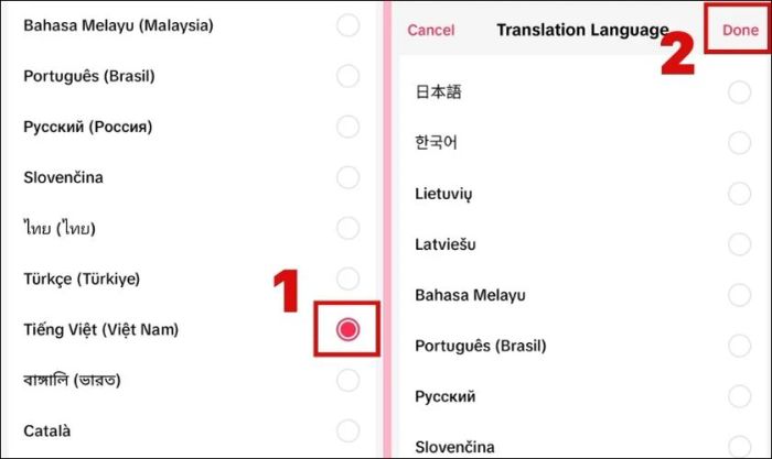 Chọn tiếng Việt (Việt Nam)