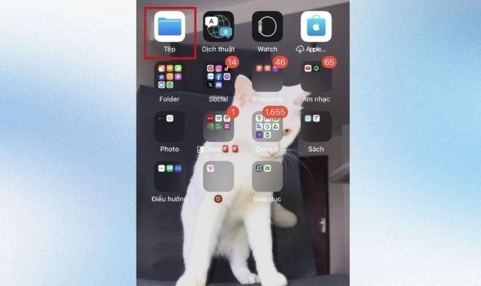 Hướng dẫn tạo tệp mới trên iPhone