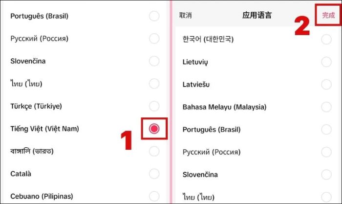 Chọn Tiếng Việt (Việt Nam)