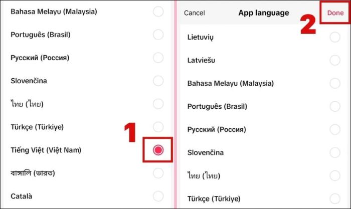 Lựa chọn ngôn ngữ tiếng Việt