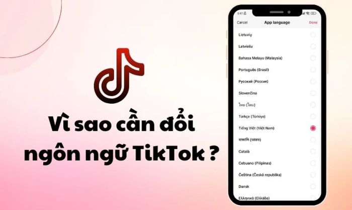 Tại sao bạn cần biết cách thay đổi ngôn ngữ trên TikTok?
