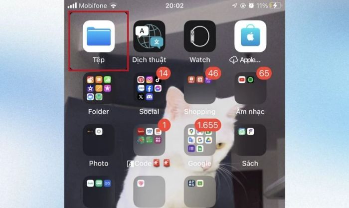 Phục hồi các tệp đã xóa trên iPhone