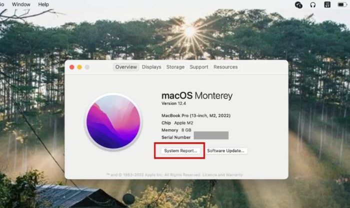 Cách kiểm tra tình trạng pin MacBook