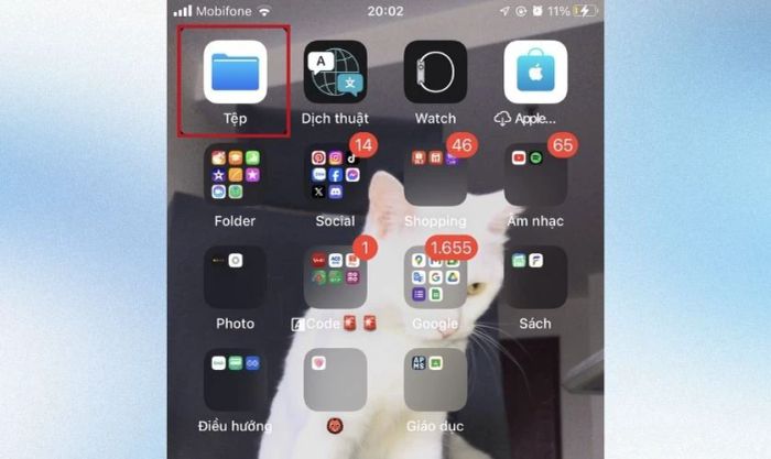 Hướng dẫn xóa và khôi phục tệp trên iPhone