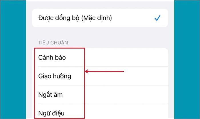 Chọn các kiểu rung có sẵn để tùy chỉnh chế độ rung cho từng loại thông báo trên iPhone