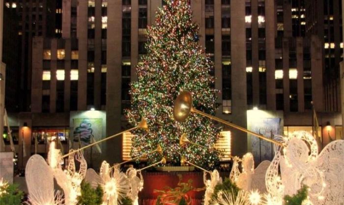Hình nền cây thông Noel cho máy tính mang đến cảm giác ấm áp và gần gũi