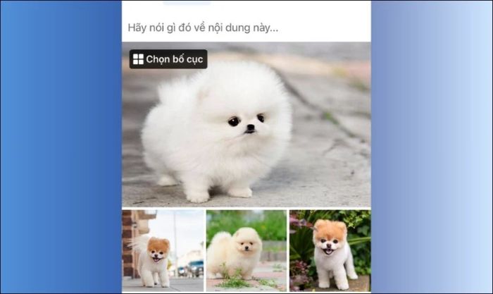 Bố cục ảnh truyền thống