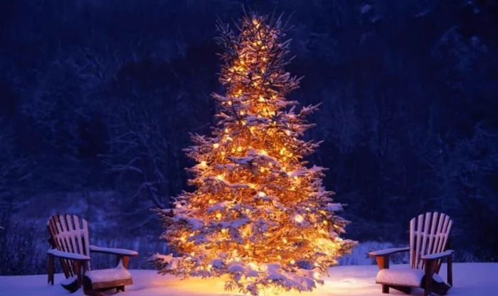Hình nền cây thông Noel cho máy tính với thiết kế đẹp mắt và ấn tượng