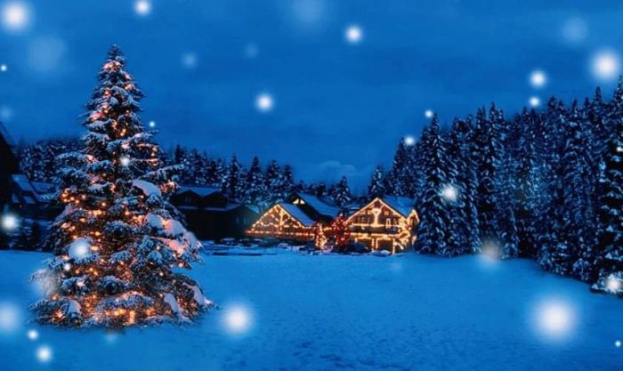 Hình nền cây thông Noel cho máy tính với phong cách đơn giản nhưng tinh tế