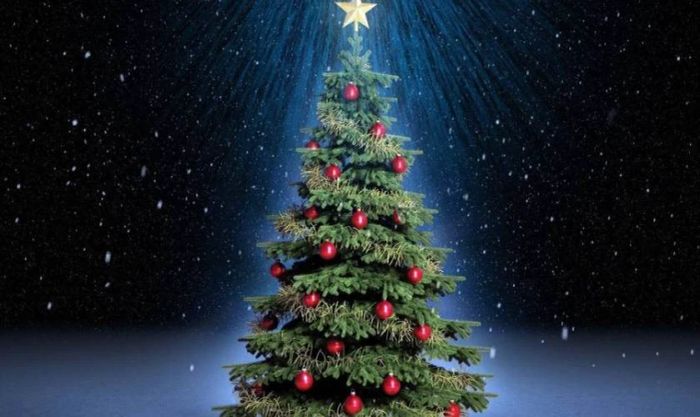 Hình nền cây thông Noel cho máy tính