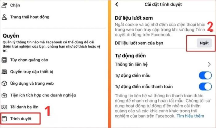 Chọn mục Trình duyệt trong phần Quyền và nhấn vào nút Ngắt ở mục Dữ liệu lướt web.