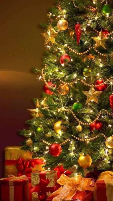 Hình nền Giáng Sinh trang trọng với hình ảnh cây thông Noel