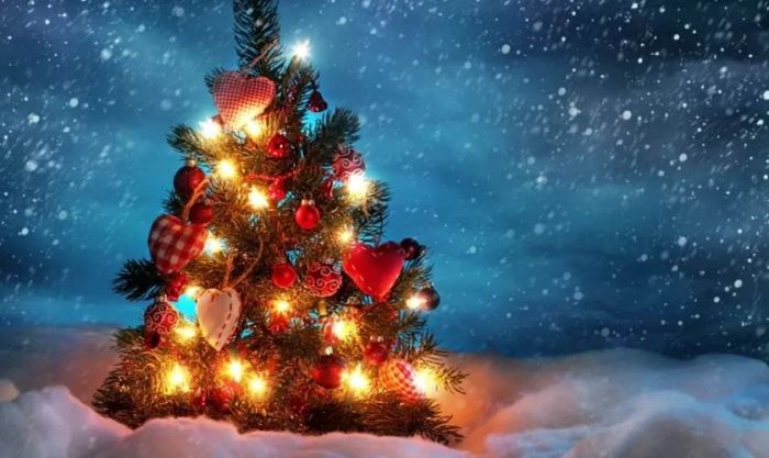 Hình nền cây thông Noel cho máy tính với vẻ đẹp cuốn hút và ấn tượng