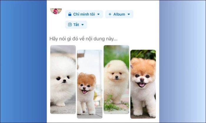 Bố cục đăng ảnh Facebook theo dạng cột