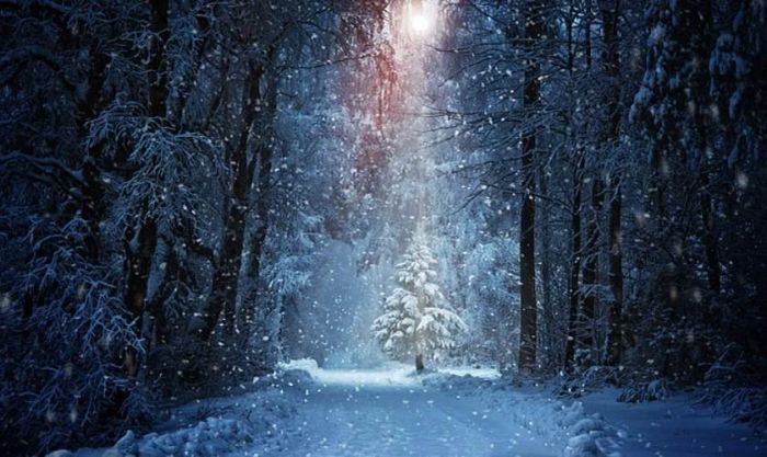 Hình nền cây thông Noel cho máy tính với vẻ ngoài thu hút và cuốn hút