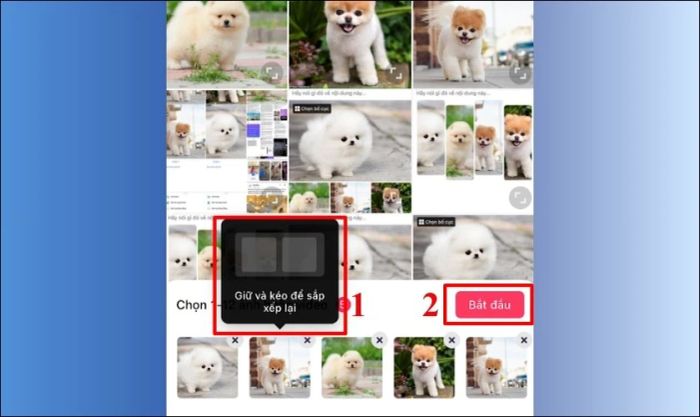 Chọn ảnh và nhấn vào nút Bắt đầu để tiếp tục