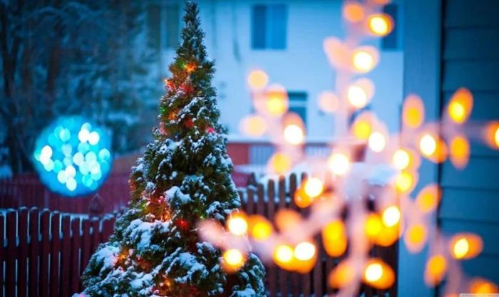 Hình nền cây thông Noel cho máy tính với ánh sáng lấp lánh, tạo không khí lễ hội