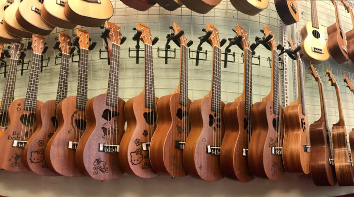 Linh Nhi Musical Instruments image 1