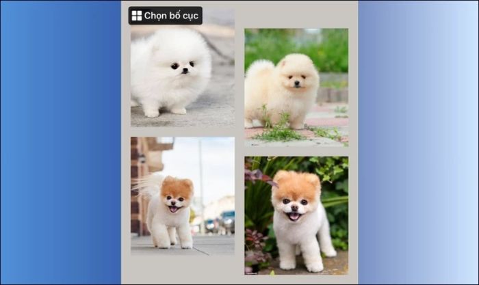 Bố cục đăng ảnh Facebook theo kiểu khung